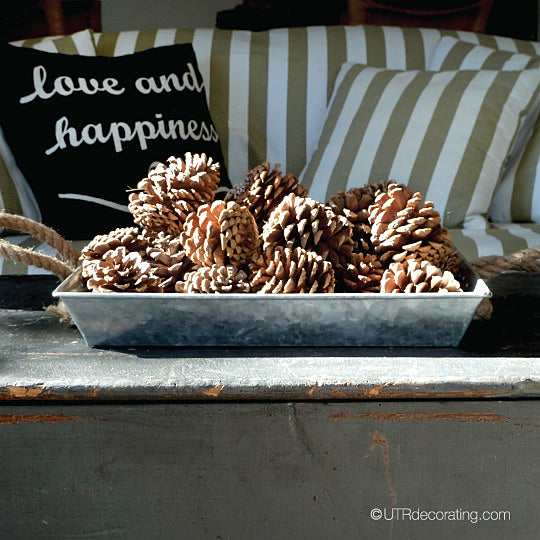 Fall Decorating With Pinecones